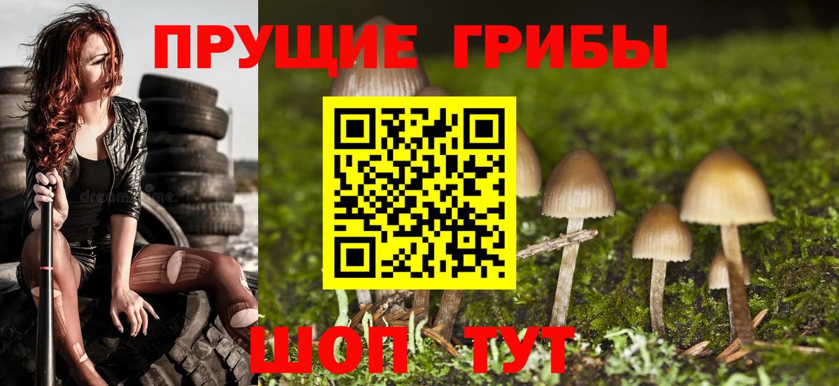 Галлюциногенные грибы Magic Shrooms Кемерово