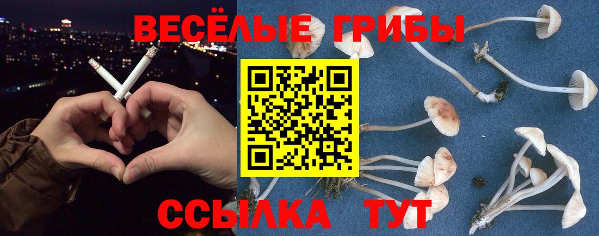 Псилоцибиновые грибы GOLDEN TEACHER  Галлюциногенные грибы Psilocybine cubensis  Вход с VPN  Кемерово 